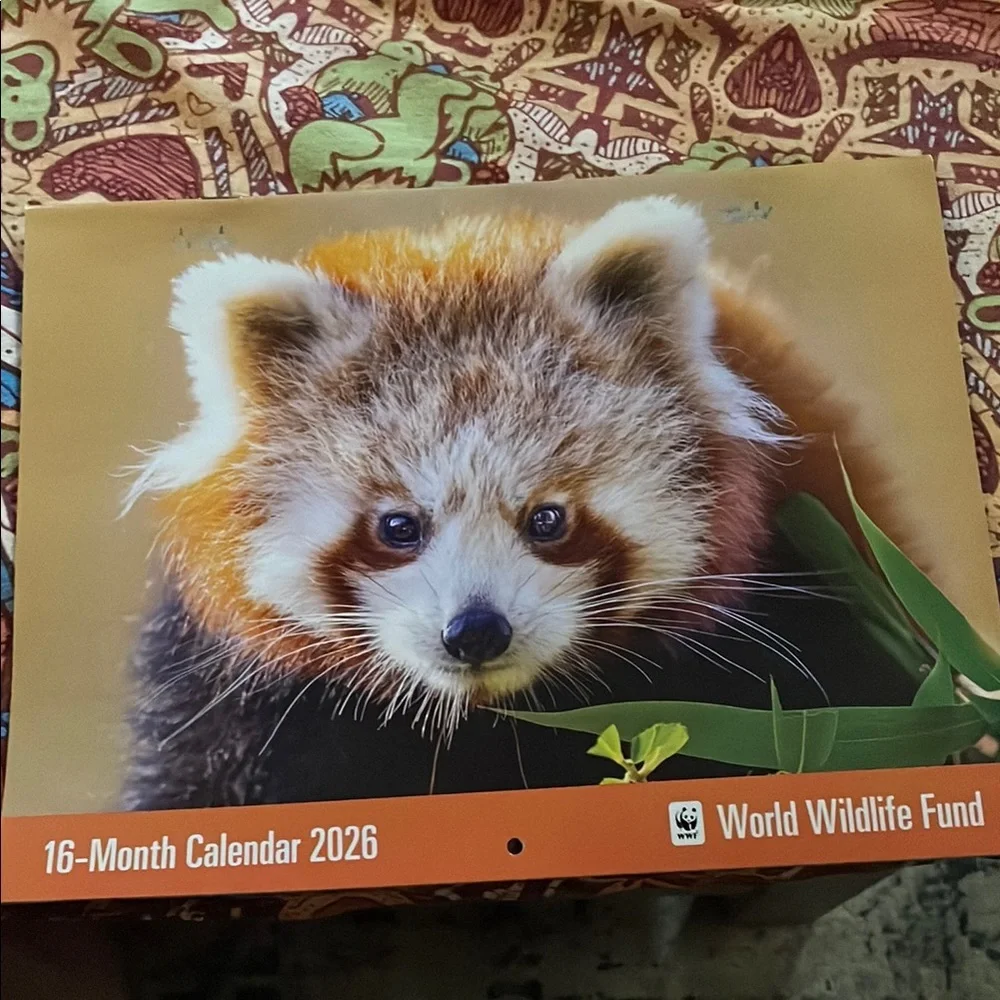 Red Panda 2026 Calendar